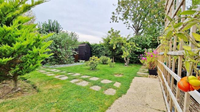 Outside - Rear