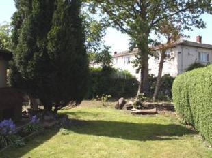 Rear Garden 2