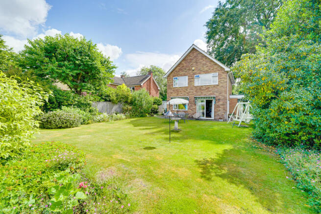 Back Garden