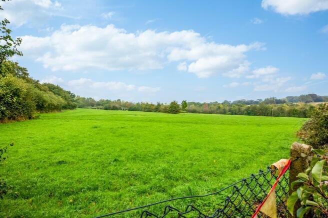 Field Views