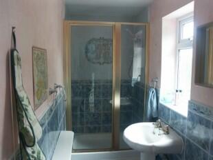 Downstairs Shower
