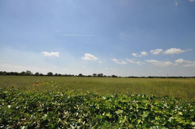VIEW FROM GARDEN