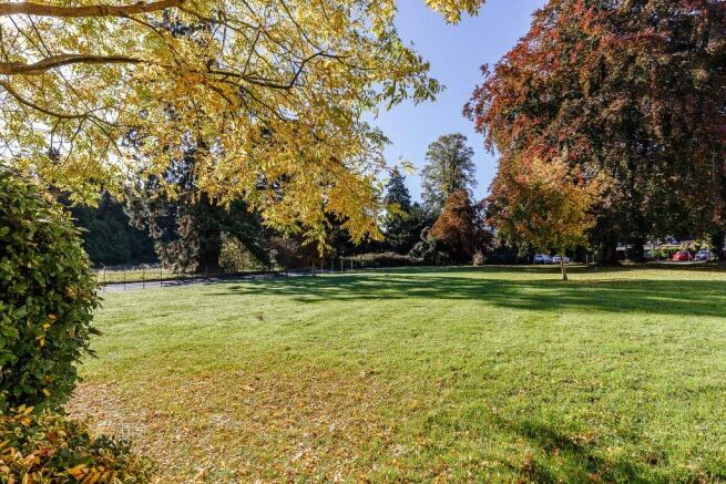 Communal Garden