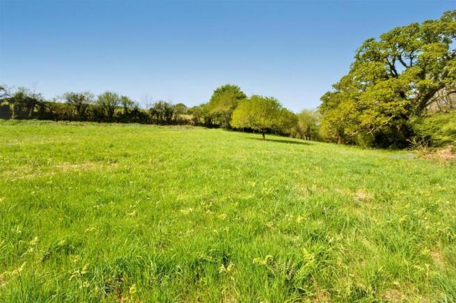 Meadow