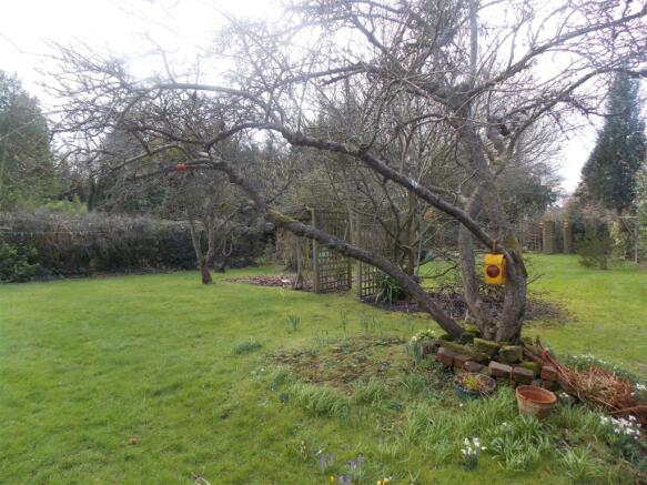 Garden 2.JPG