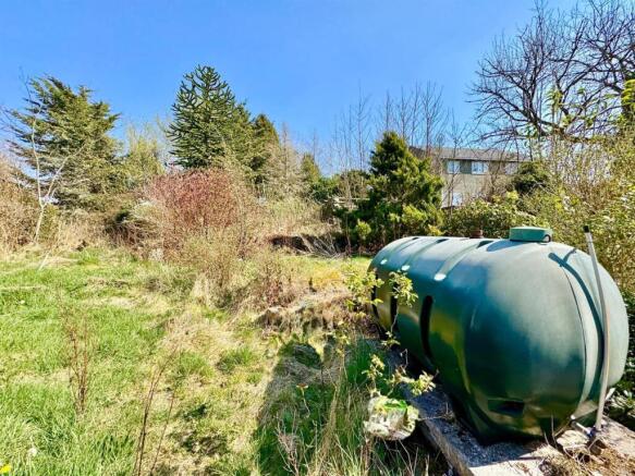 PHOTO-2025-04-26-12-53-07 (15).jpg