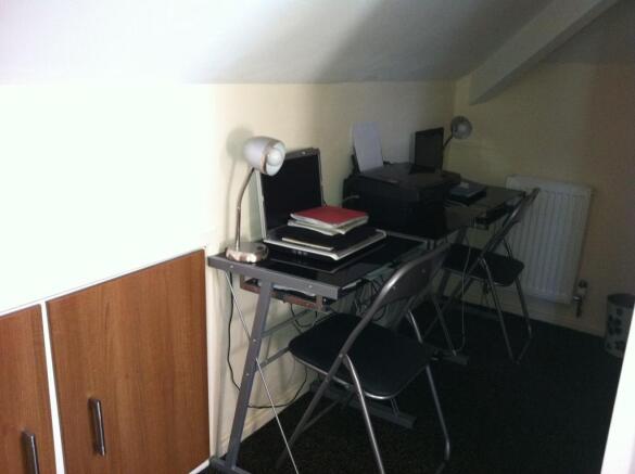 Study Area