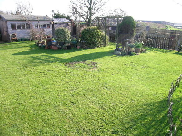 Photo 11