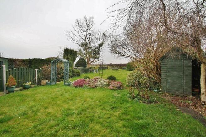 Garden Shot 1