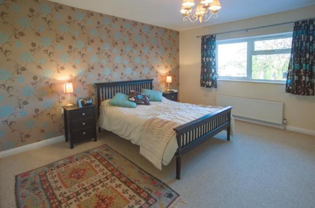 Picture No.15