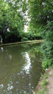 Picture No. 11