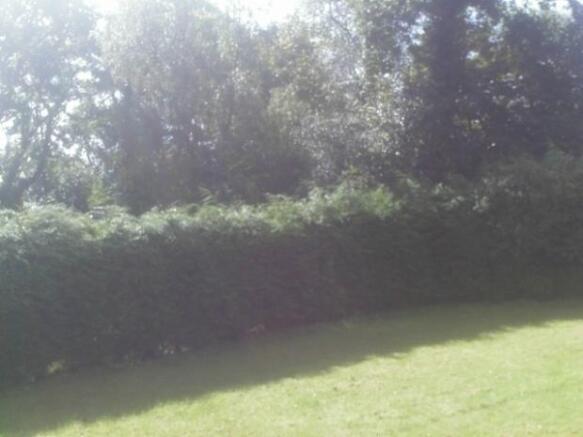 Photo 31