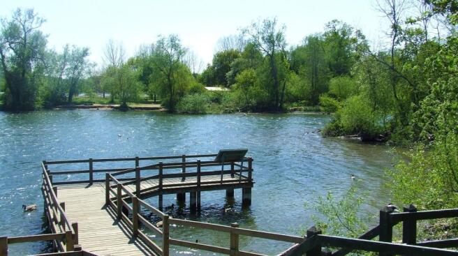 country park 2.jpg