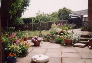 Photo 4
