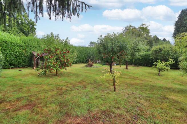 Rear Area Of Garden With Fruit Trees.jpg