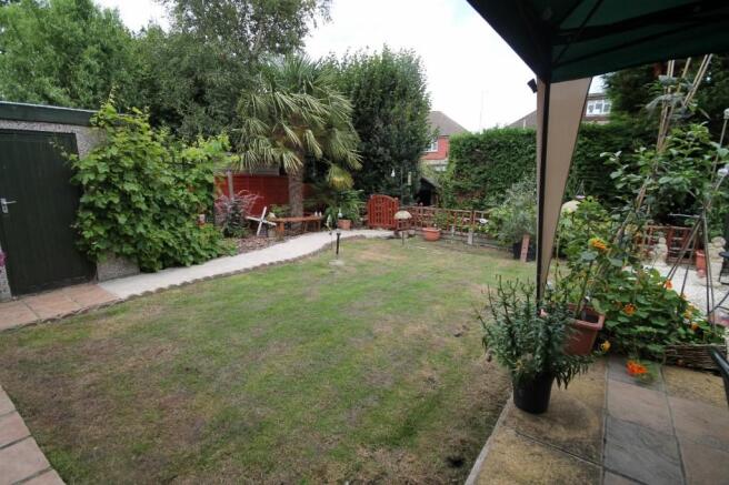 Photo 11
