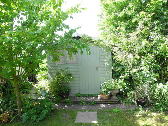 Photo 11