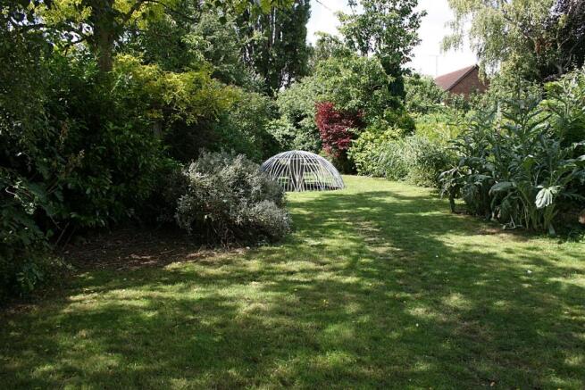 rae garden.JPG