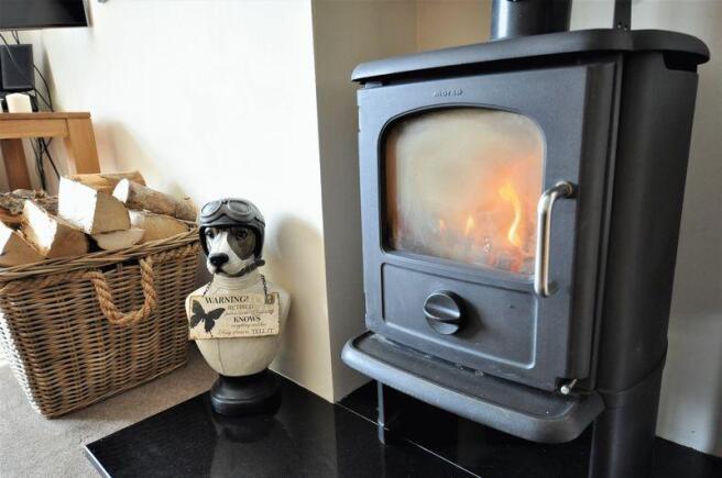 Lounge Log Burner