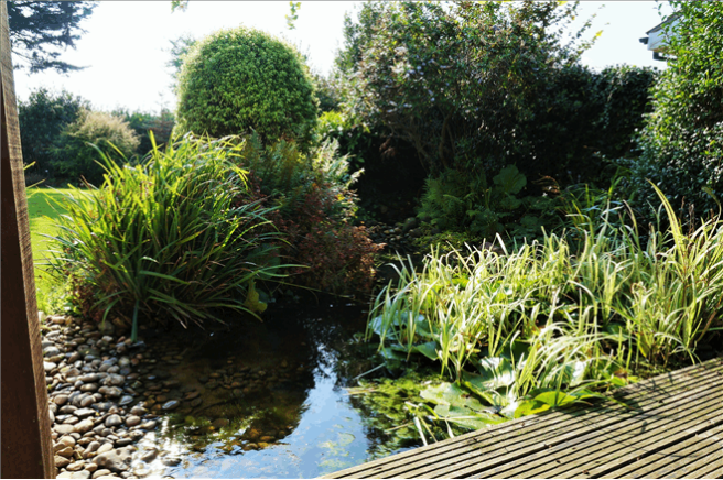 Pond