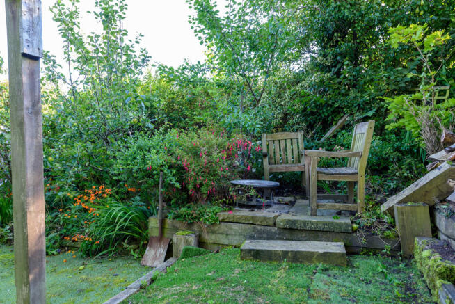 Photo 41