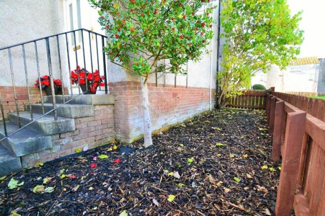 Front garden  