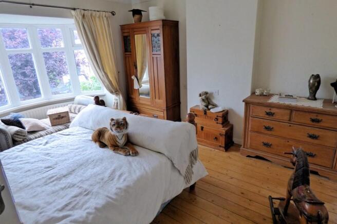 Photo 18