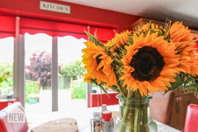 KITCHEN/ DINING: