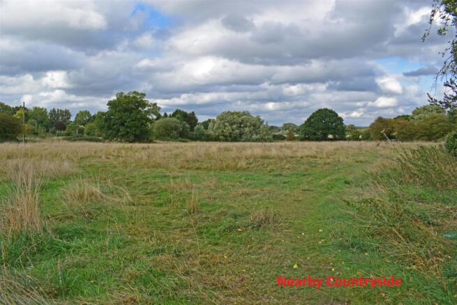 Field opposite.jpg