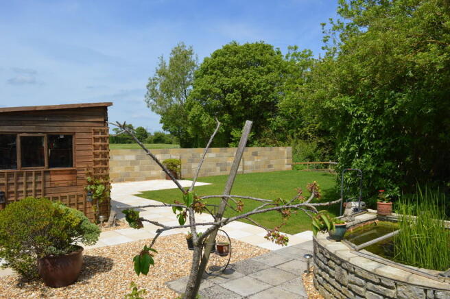 Photo 11