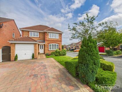 Forest Walk, Buckley