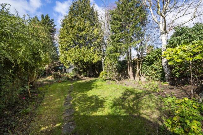 Rear garden 2