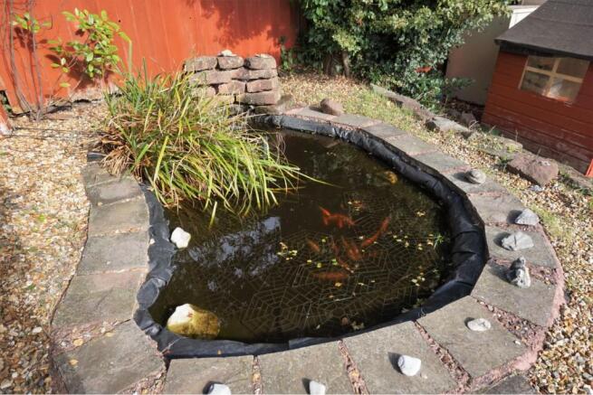 Pond