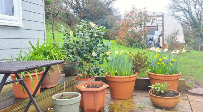 View Towards the Polytunnel