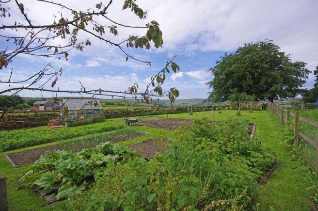 Vegetable Garden