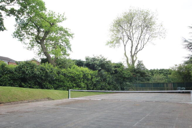 Photo 20