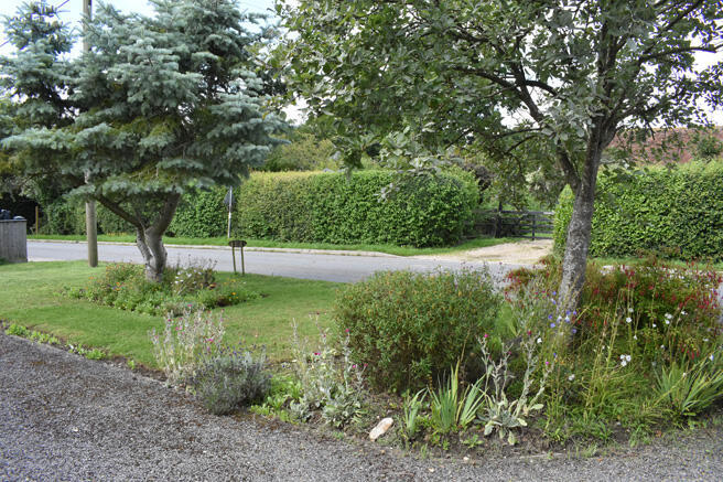 Front Garden