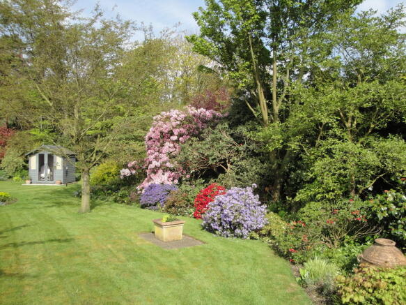 Garden in Summer