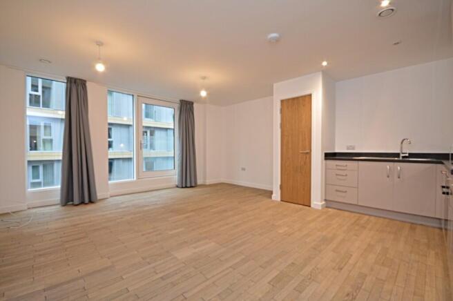 Kitchen/Living Room