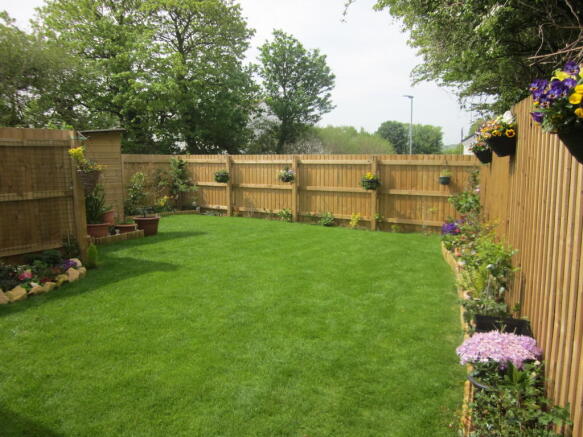 Photo 10