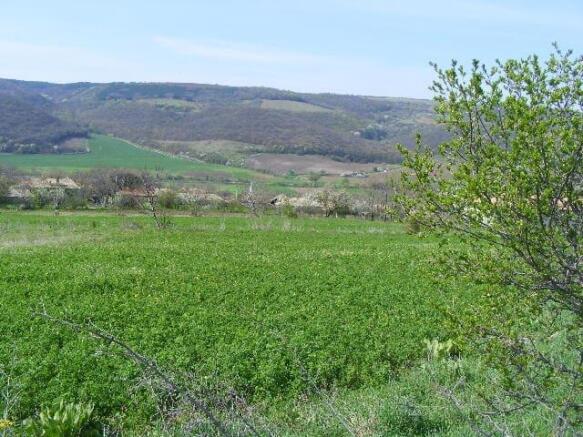 A green field with a single tree on the right and forested hills in the background