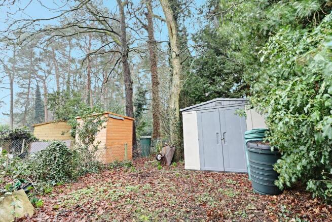 Garden at Back