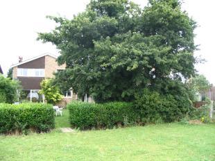 Rear of Property