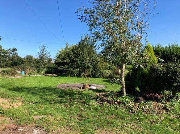 Back garden