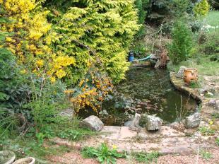 POND