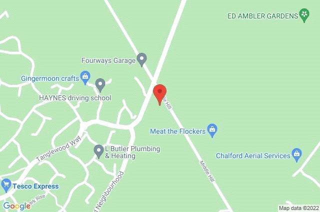 Google Maps Image