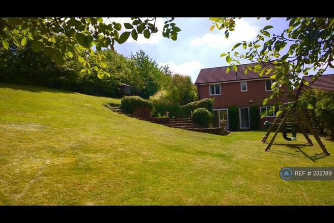 Back Garden