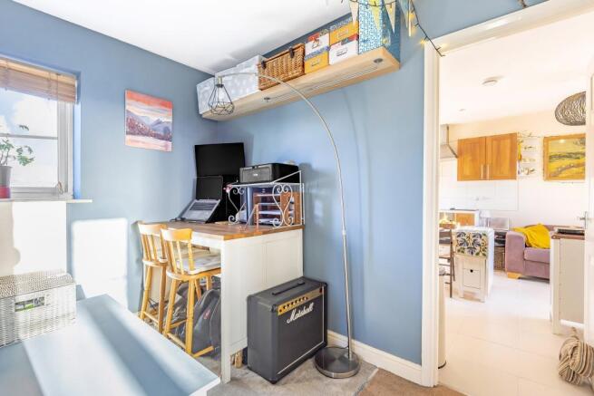 Study Area