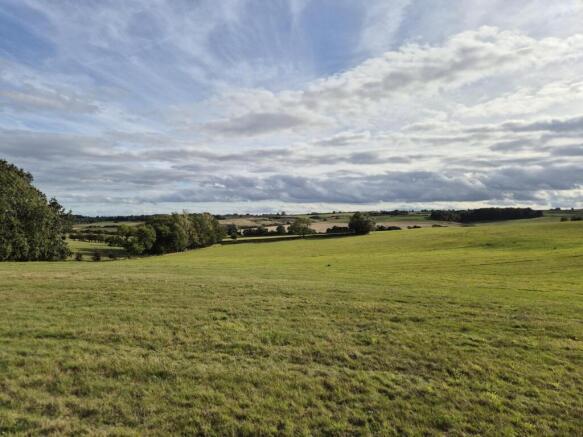 Grassland 2.jpg