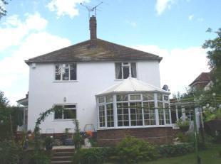 Rear View